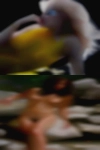 Nude woman showing Amarillo